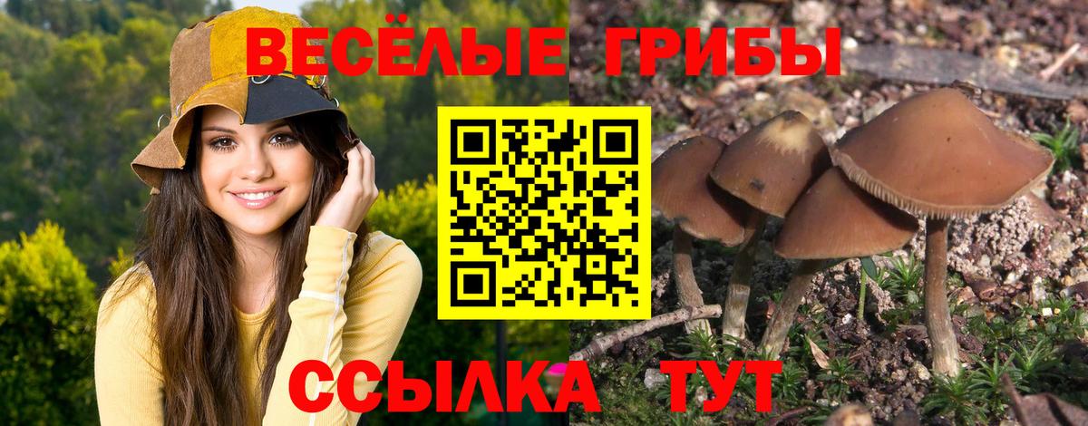 Нижний Тагил  Галлюциногенные грибы Psilocybe  Вход с VPN 